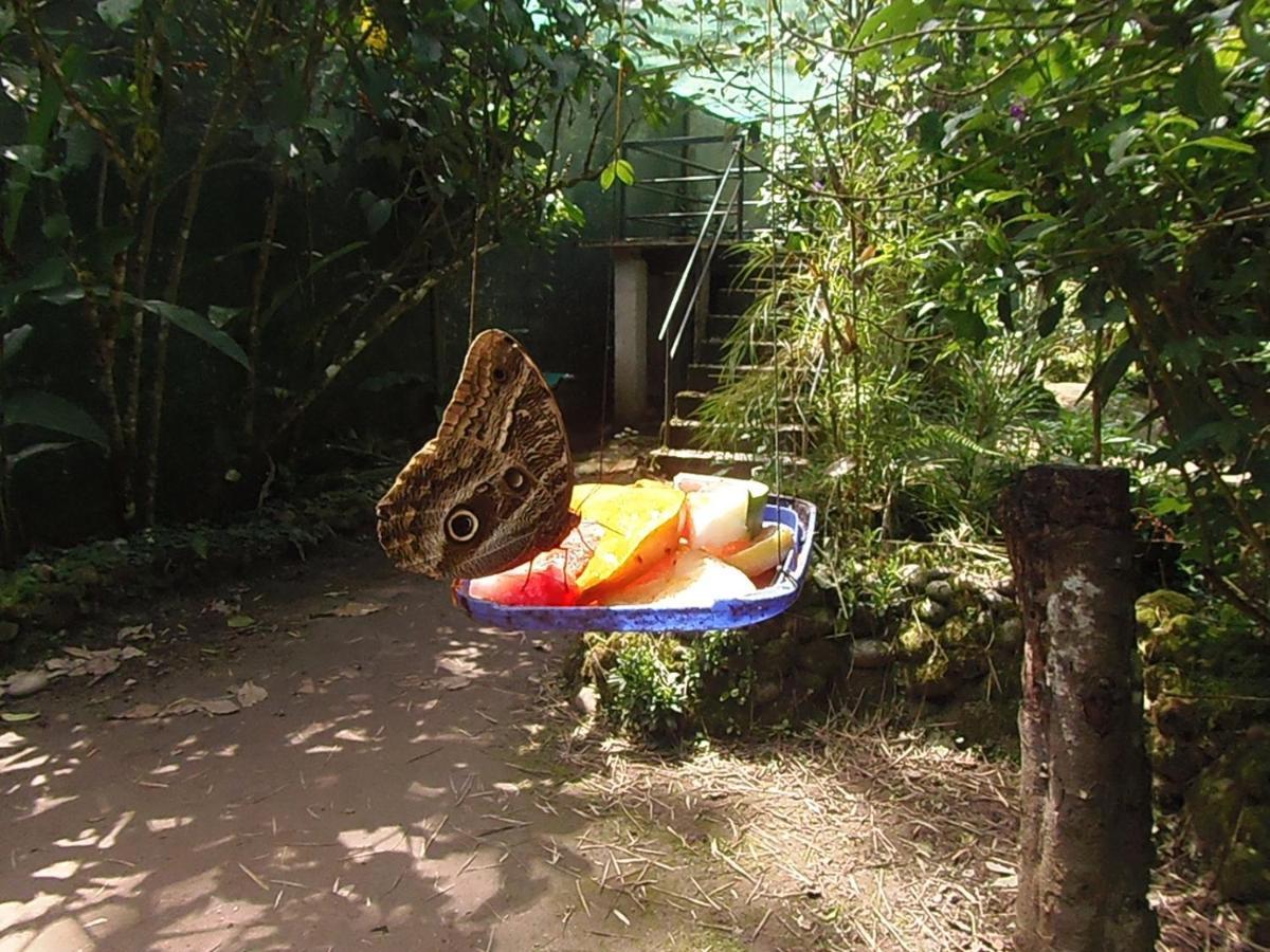 Hostal Pablo'S House Machu Picchu Dış mekan fotoğraf